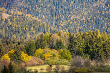 autumn landscape in the mountains