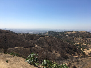 Griffith Park near the Griffith Observatory in Los Angeles, California.