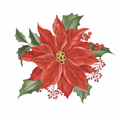 Big red Christmas flower, red berries, wild small red berries and winter green leaves have. Hand drawn watercolor image.