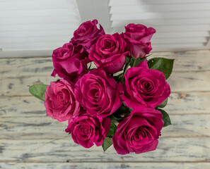 photo red, pink, purple roses