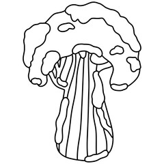 Christmas Tree Clipart illustration