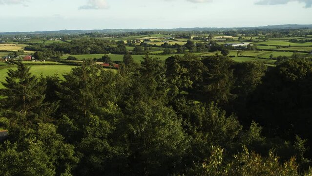 Rising aerial view of trees revealing rural landscape / Crossgare, Londonderry, Northern Ireland