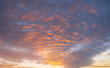 Stunning colorful sunset, blue sky, yellow purple cirrus clouds.