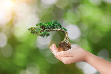 Fototapeta na wymiar International eco earth day concept. Hand holding bonsai tree growing on green natural background