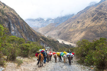 amazing view of salkantay trek in peruvian andes