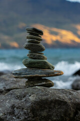 Flowers, Flies & Foliage