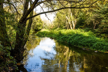 Fototapeta na wymiar River Roding at Roding valley in Buckhurst Hill, UK