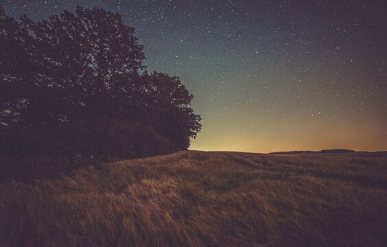 Nocne sny 