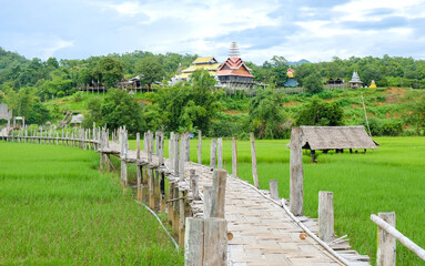 Fototapeta na wymiar Su Tong Pae Bamboo bridge for walking across rice fields , in Thailand.