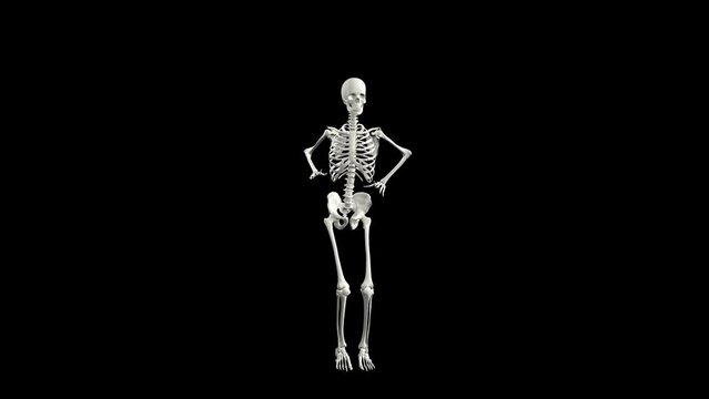 Sexy skeleton dance with alpha channel