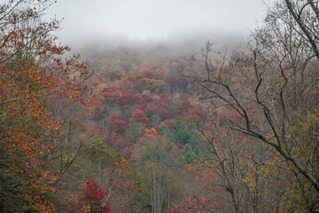 fall in the blue ridge mountains