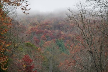 fall in the blue ridge mountains