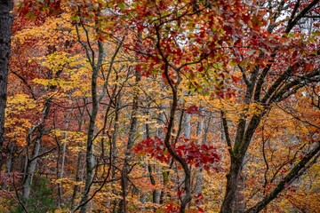 fall in the blue ridge mountains