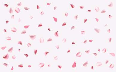 Rose petals falling down background