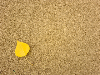 Yellow background with one yellow autumn leaves. Yellow gravel. Autumn weather, brighter days. Suitable for postcards, promotions, websites, printing, social networks.