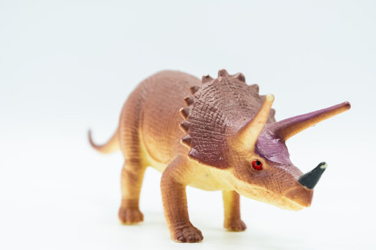 Triceratops dinosaurs toy isolated on white background