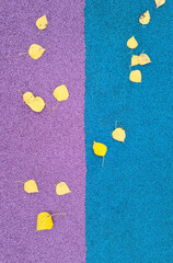 Lilac or violet and blue background with yellow autumn leaves. Lilac and blue gravel. Autumn weather, brighter days. Suitable for postcards, promotions, websites, printing, social networks.