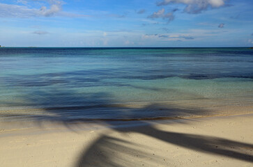 Palm shadow on the beach - Bahamas