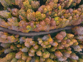 Autumn Season in the İnegol-Domanic Winding Road Drone Photo, İnegol Bursa, Turkey