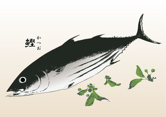 bonito, food, seafood, eating and drinking, restaurants,鰹, 浮世絵,錦絵,日本画,食材,食べ物,シーフード,居酒屋,飲食,飲食店,刺身,寿司,魚料理