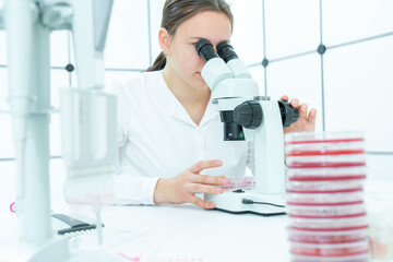 female laboratory assistant in a medical dermatology laboratory examines skin microflora cultures...
