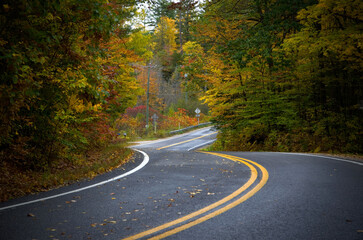 Curved Road in the Forest During Fall Season
