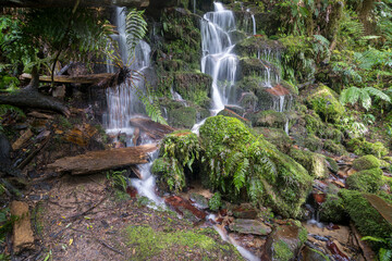 Whirinaki Forest Waterfall New Zealand