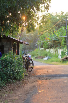 bicycles in a road side in the natural and beautiful rural village of India in the evening with a golden sunlight