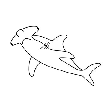 Vector swimming shark isolated on white background. Hand drawn outline doodle illustration ocean or underwater animal