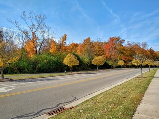Naklejka premium Peaceful Autumn Road