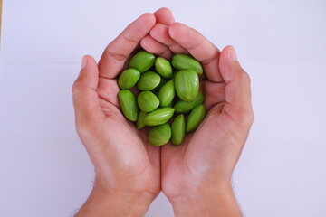 full hands of parkia or petai in Bahasa against whiute background  