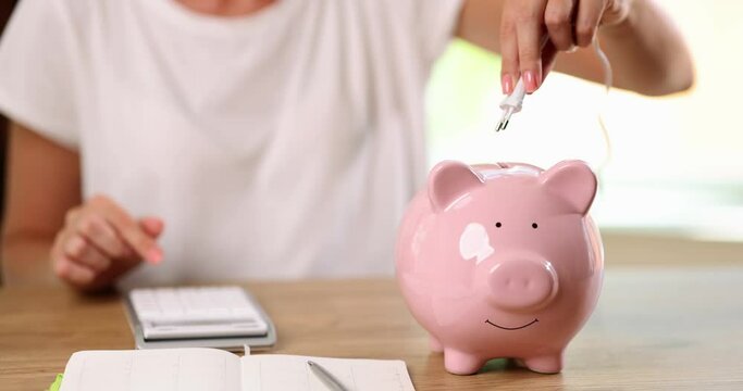 Woman counts on calculator and electric plug inserts piggy bank