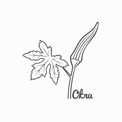 illustration of okra, vegetable, vector art.