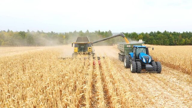 Aerial shot of combine loading off corn grains into tractor trailer. Agricultural machines working in farmland during harvesting. Farming concept. Front view