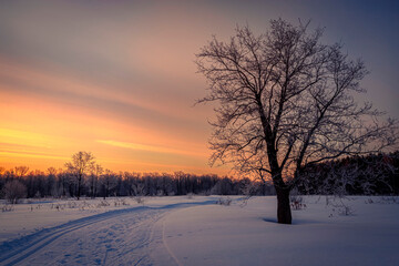 Winter landscape with road, trees covered snow and sunrise. Winter morning of a new day.