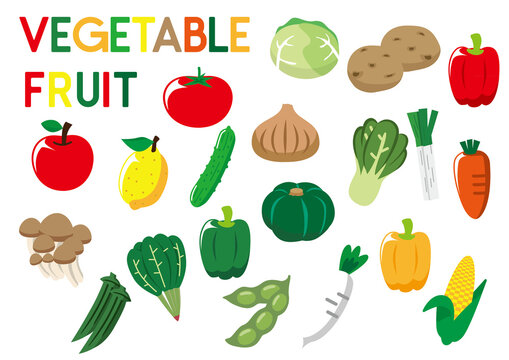 vegetable fruit 野菜 果物