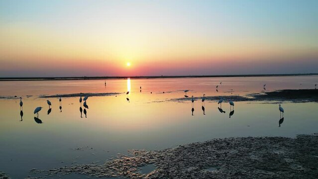 Migratory Bird Nature Reserve,