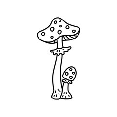 Mushroom toadstool in the style of a doodle. Isolated on a white background. Vector illustration.