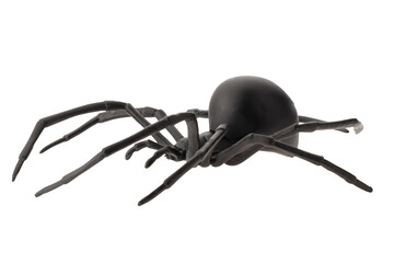 Fake rubber spider toy isolated over a white background. black spider toy isolated on a transparent background. Comic horror for Halloween. - obrazy, fototapety, plakaty
