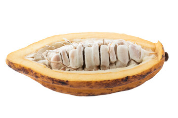 Cocoa pod and cocoa seed isolated on a transparent background