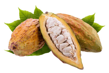 Cocoa pod and cocoa seed isolated on a transparent background