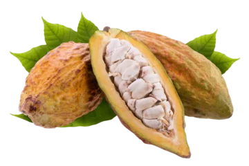 Foto op Canvas Cocoa pod and cocoa seed isolated on a transparent background © kaiskynet