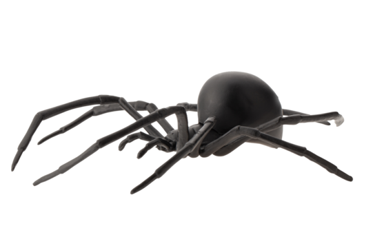 Fake rubber spider toy isolated over a white background. black spider toy isolated on a transparent background. Comic horror for Halloween.