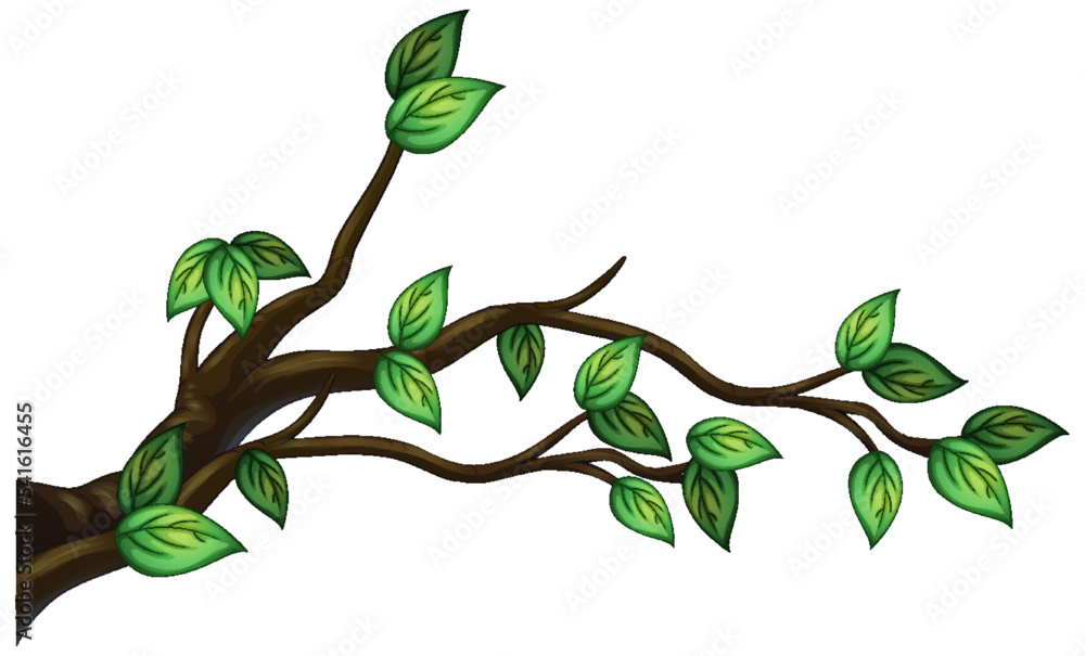 Wall mural Tree branch isolated on white background