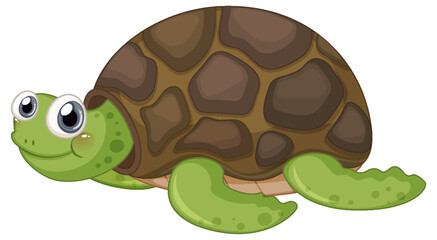 Cute turtle cartoon character on white background