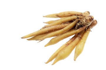 Fingerroot, Kaempfer, Boesenbergia isolate on white background, Ingredients for Thai Cuisine