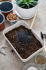 preparation of soil substrate for planting houseplant into a pot
