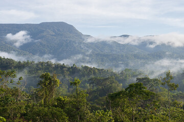 Alto Mayo Valley, where one of the best coffees in the world is grown