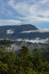 Alto Mayo Valley, where one of the best coffees in the world is grown