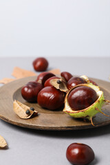 Obraz premium Fresh and ripe chestnuts, Autumn season chestnuts